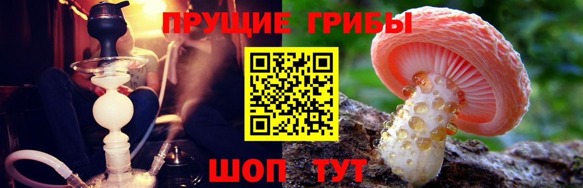 Галлюциногенные грибы GOLDEN TEACHER Оренбург